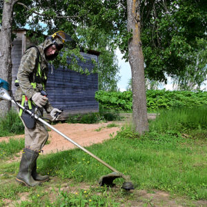 Affordable Lawn Mowing Without Quality Loss