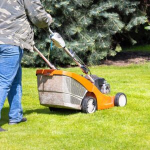 How Lawn Mowing Timing Affects Root Strength