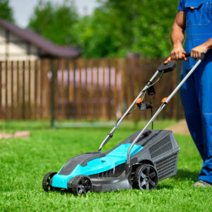 How Professional Lawn Mowing Improves Turf Density