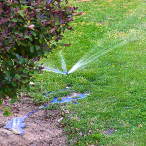 Irrigation System Management Tips for Maximizing Water Conservation in Kennebunk