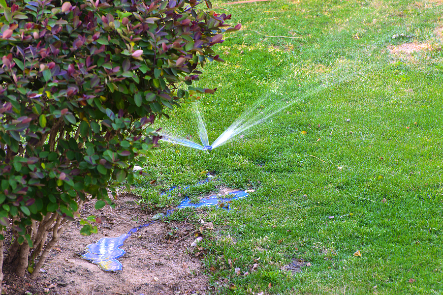 Irrigation System Management Tips for Maximizing Water Conservation in Kennebunk