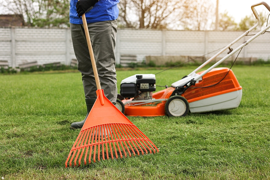 Kennebunk Landscaper Tips for Salt-Air Exposure