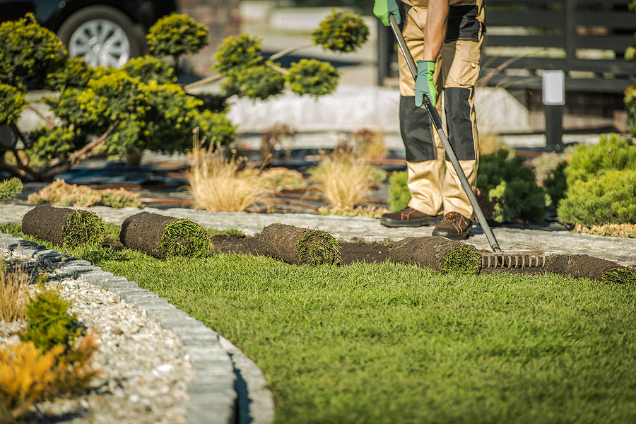 Landscaping on a Budget Affordable Kennebunk Planting Services