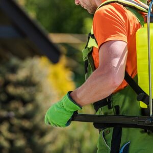 Lawn Pest Management for Grubs and Ticks