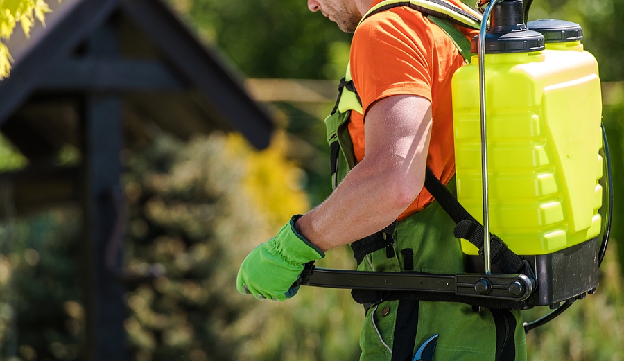 Lawn Pest Management for Grubs and Ticks