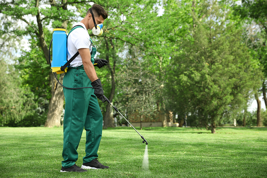 Lawn Pest Management for New England Climates Unique Challenges in Kennebunk