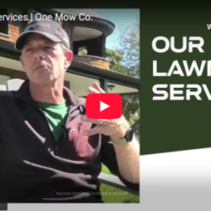 Our Lawn Services