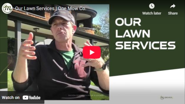 Our Lawn Services