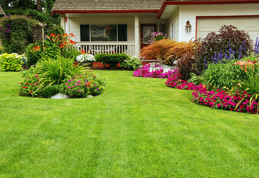 Seasonal Color and Plant Rotation