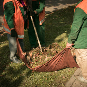 Seasonal Landscaping Preparing Kennebunk Yards for Winter