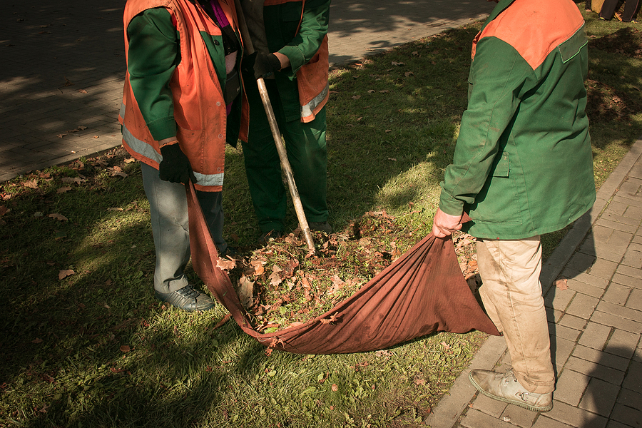 Seasonal Landscaping Preparing Kennebunk Yards for Winter