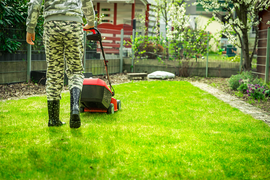 Seasonal Lawn Care Strategies for Kennebunk Residents