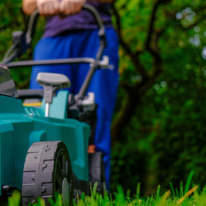Seasonal Lawn Maintenance Checklist for Maine