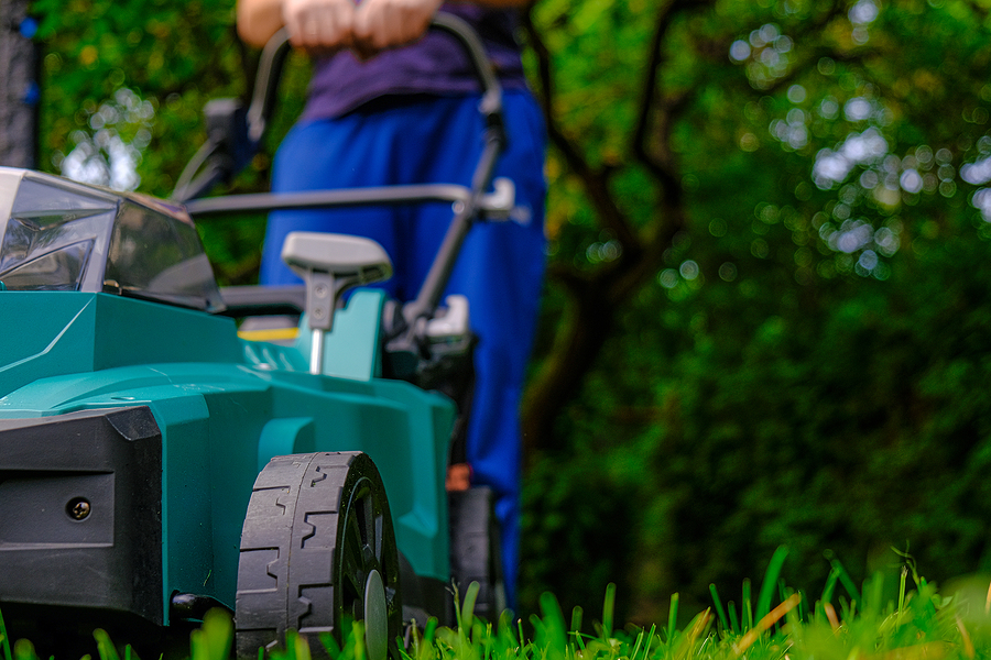 Seasonal Lawn Maintenance Checklist for Maine
