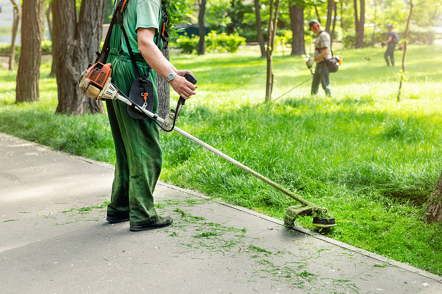 Sustainable Lawn Services