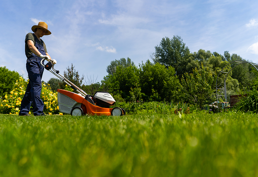 The Science of Lawn Mowing Achieving Perfect Grass Heights in Kennebunk