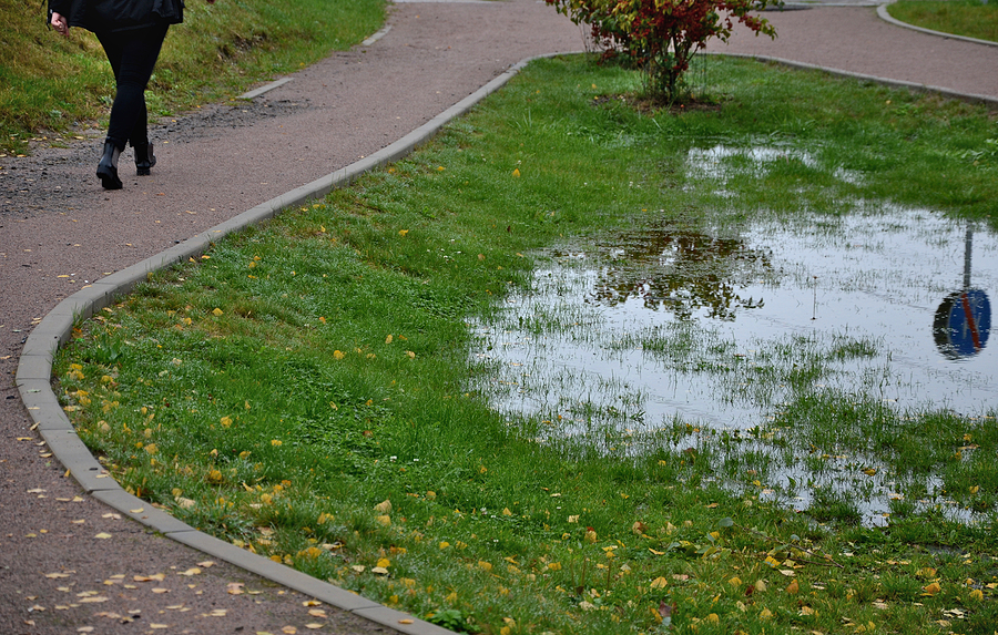 Top Landscaping Mistakes Kennebunk Homeowners Should Avoid