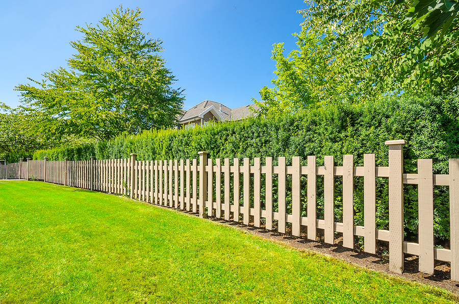 Tree Planting for Windbreaks Protecting Kennebunk Properties Naturally