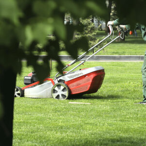 Weekly Lawn Mowing vs Biweekly Results