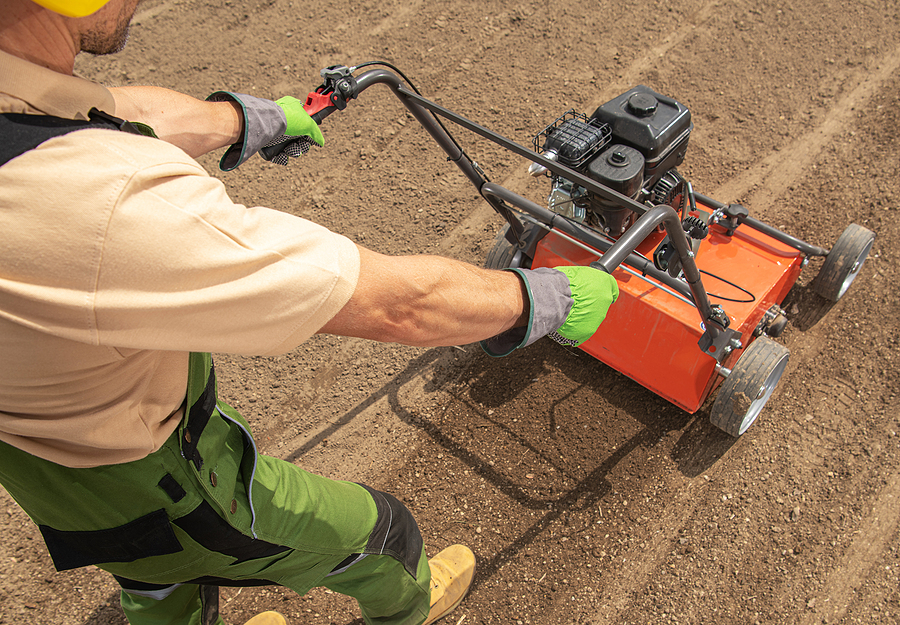 aeration and overseeding