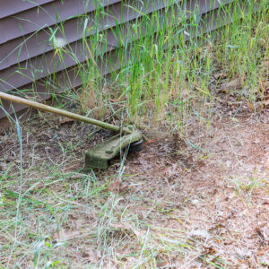 Why Consistent Lawn Mowing Reduces Weed Growth