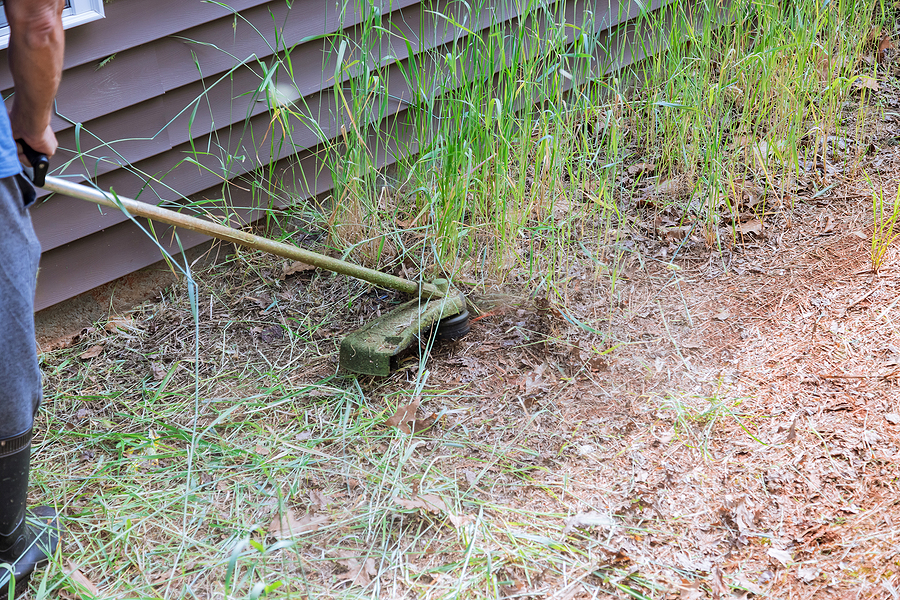 Why Consistent Lawn Mowing Reduces Weed Growth