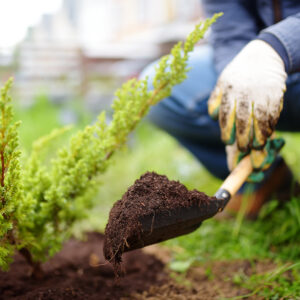 When Should I Fertilize Cool-Season vs. Warm-Season Grasses?