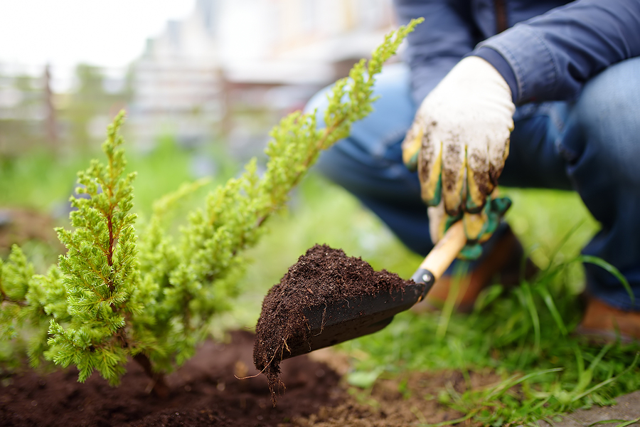 When Should I Fertilize Cool-Season vs. Warm-Season Grasses?