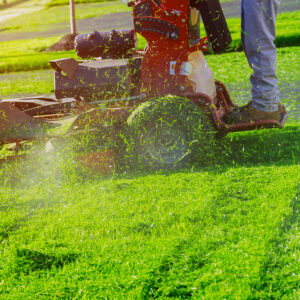 Lawn Services for Coastal Soils Explained