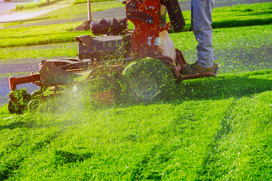 Lawn Services for Coastal Soils Explained