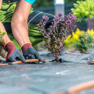 Is an Automatic Irrigation System Worth the Cost for a Small Yard?