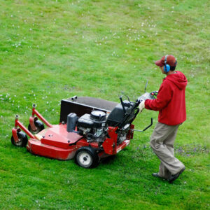 Should I Rent or Buy a Dethatching Machine for My Lawn?
