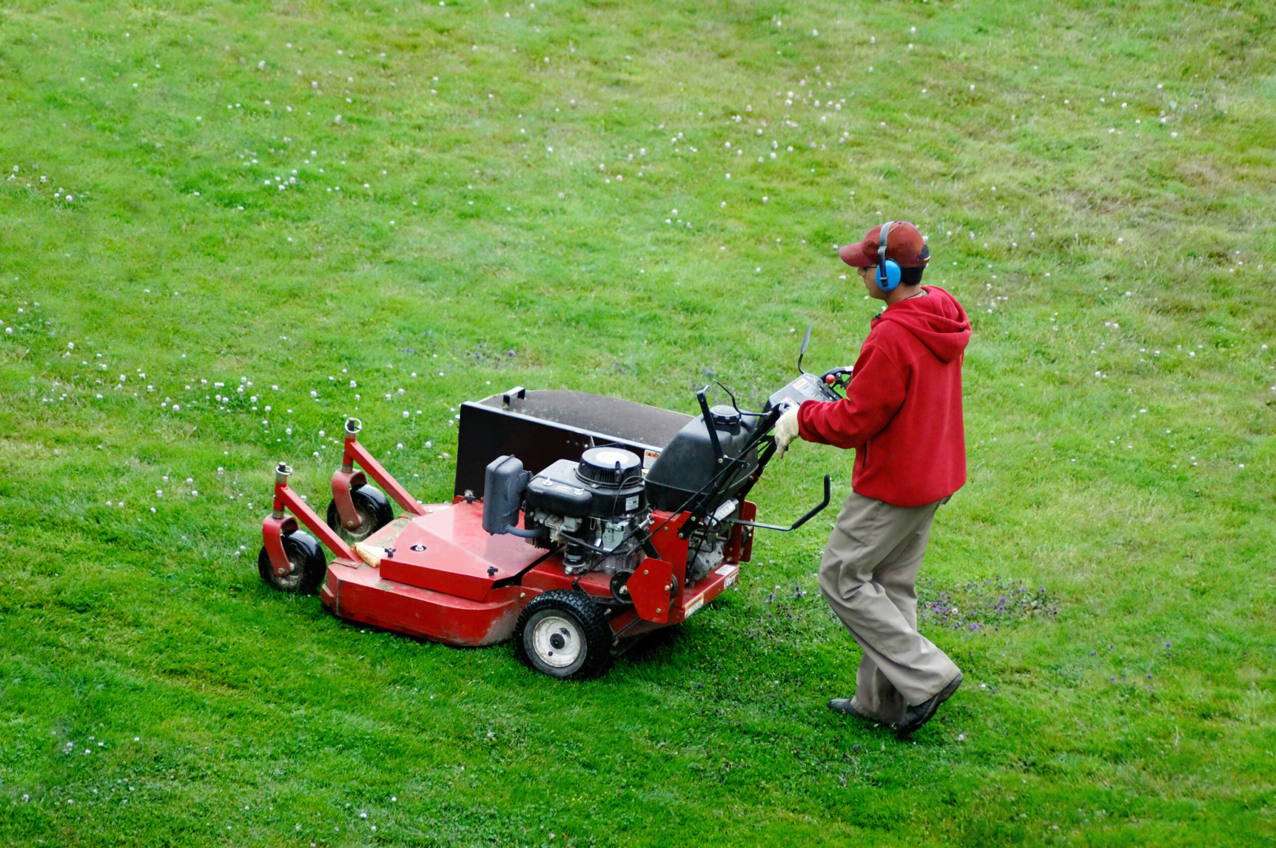 Should I Rent or Buy a Dethatching Machine for My Lawn?