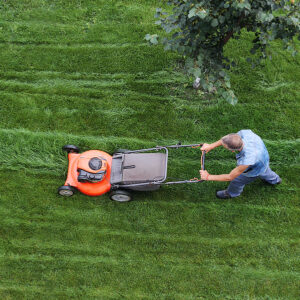 Eco-Friendly Lawn Mowing Practices in Maine