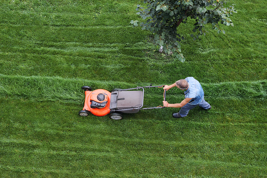 Eco-Friendly Lawn Mowing Practices in Maine