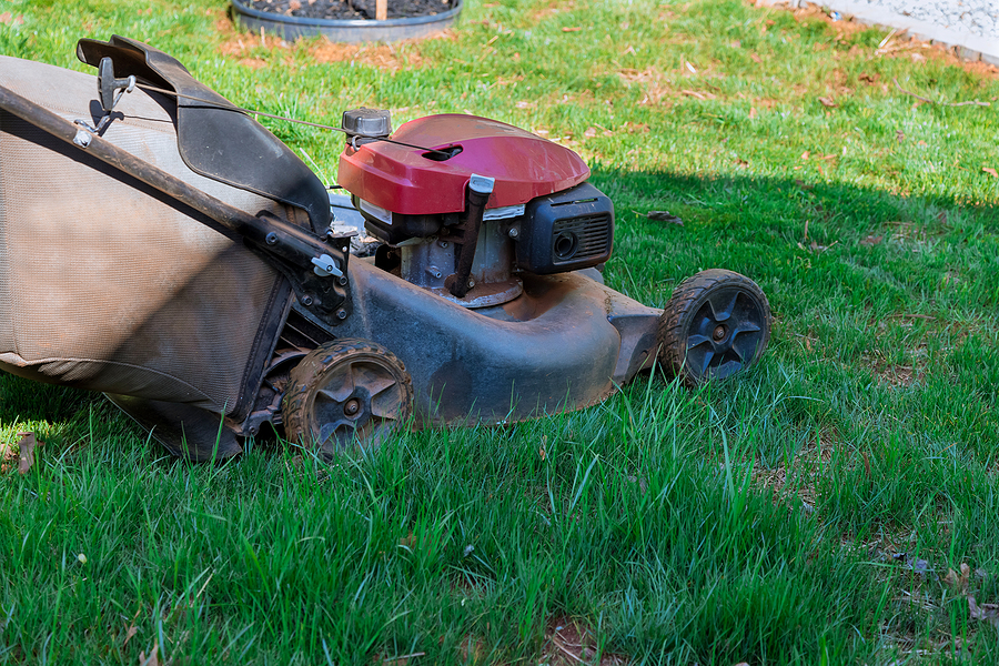 Commercial Lawn Mowing for Small Maine Properties