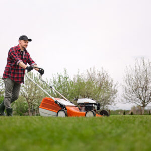 Lawn Mowing After Rain: What Homeowners Should Know