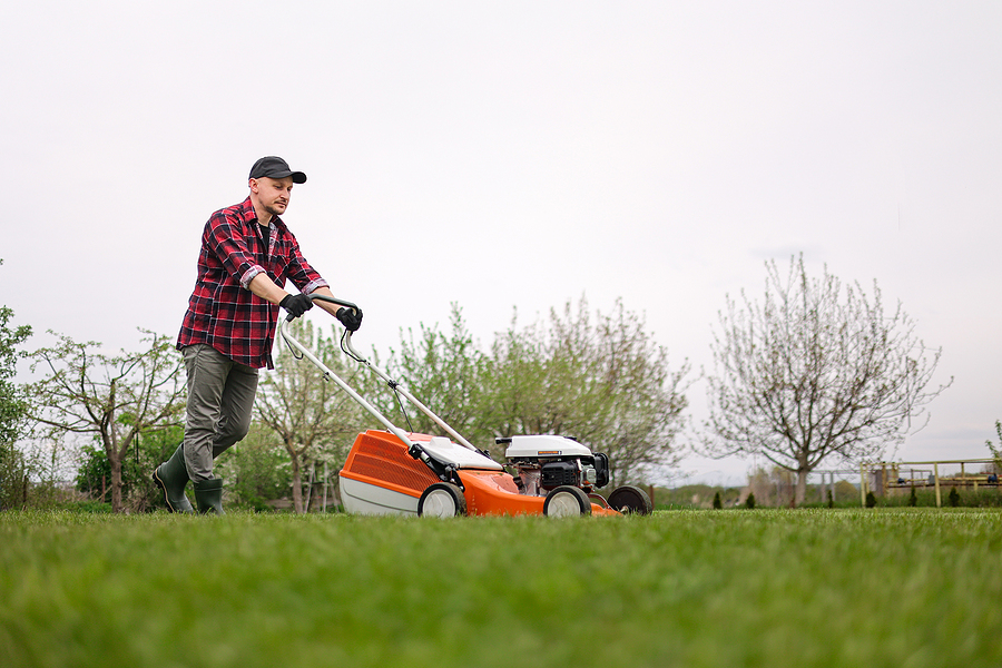 Lawn Mowing After Rain: What Homeowners Should Know